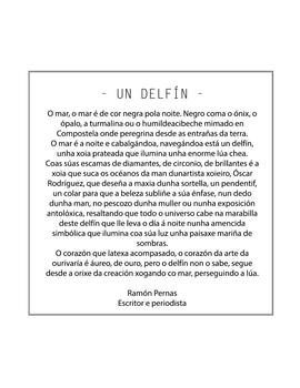 Anillo 'Un Delfín'